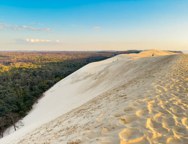 Dune du pilat