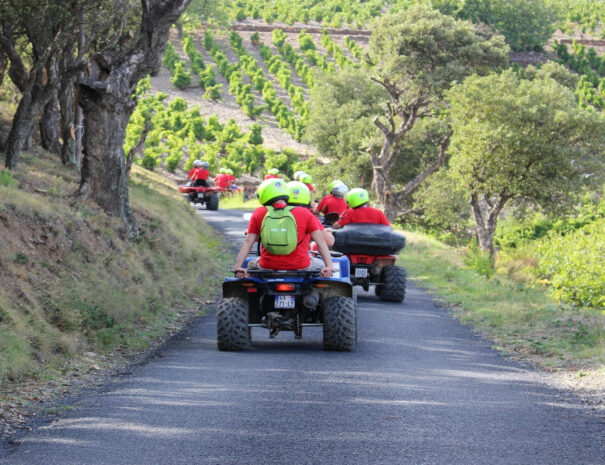 quad séminaire st cyprien