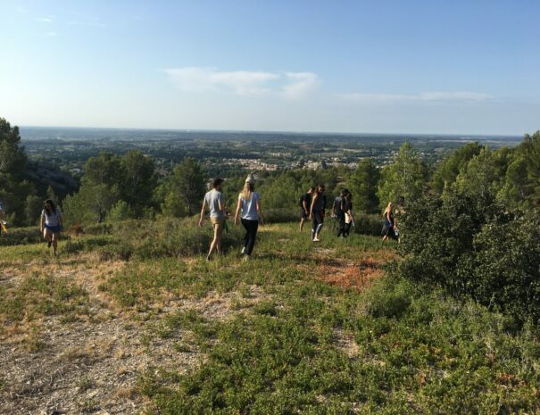 Séminaire baux de provence