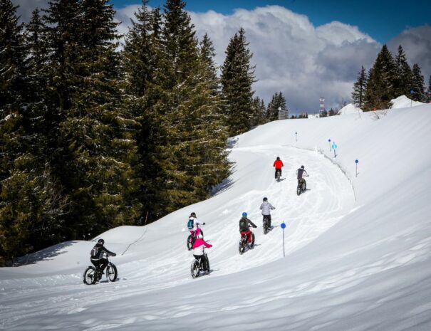 séminaire team-building montagne flaine