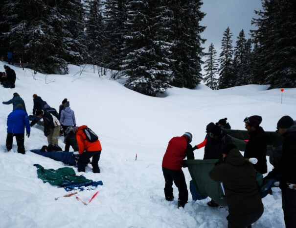 activité de team-building orignale en montagne