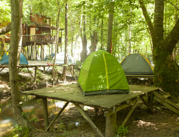 Annecy eco-bivouac