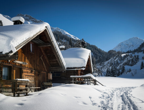 chalet alpes hébergements groupe